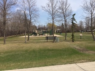 Lister Rapids Playground