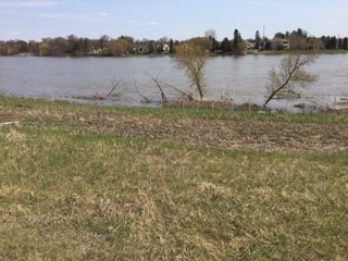 Red River in Spring